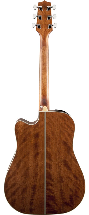 PRO MUSIC Takamine G20 Series Dreadnought AC/EL Guitar With Cutaway 2 PRO MUSIC Takamine G20 Series Dreadnought AC/EL Guitar With Cutaway