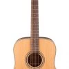 PRO MUSIC Takamine G20 Series Dreadnought Acoustic Guitar