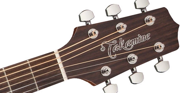 PRO MUSIC Takamine G20 Series Dreadnought Acoustic Guitar 3 PRO MUSIC Takamine G20 Series Dreadnought Acoustic Guitar
