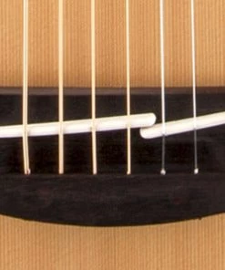 PRO MUSIC Takamine G20 Series Dreadnought Acoustic Guitar