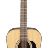 PRO MUSIC Takamine G30 Series 12 String Dreadnought Acoustic Guitar