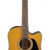 PRO MUSIC Takamine G30 Series Dreadnought AC/EL Guitar With Cutaway