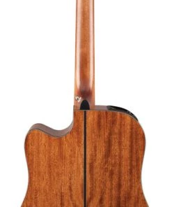 PRO MUSIC Takamine G30 Series Dreadnought AC/EL Guitar With Cutaway