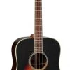 PRO MUSIC Takamine G50 Series Dreadnought Acoustic Guitar
