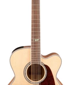 PRO MUSIC Takamine G70 Series 12 String Jumbo AC/EL Guitar With Cutaway