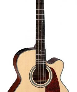 PRO MUSIC Takamine G10 Series NEX AC/EL Guitar With Cutaway