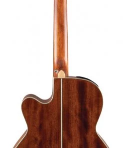 PRO MUSIC Takamine G20 Series NEX AC/EL Guitar With Cutaway