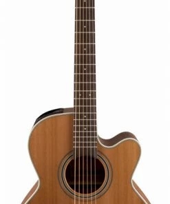PRO MUSIC Takamine G20 Series NEX AC/EL Guitar With Cutaway