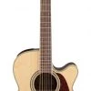 PRO MUSIC Takamine G70 Series NEX AC/EL Guitar With Cutaway