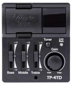 PRO MUSIC Takamine G70 Series NEX AC/EL Guitar With Cutaway