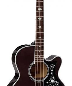 PRO MUSIC Takamine G70 Series NEX AC/EL Guitar With Cutaway