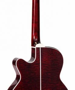 PRO MUSIC Takamine G70 Series NEX AC/EL Guitar With Cutaway