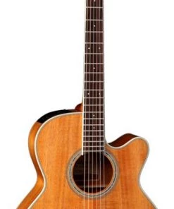 PRO MUSIC Takamine G70 Series NEX AC/EL Guitar With Cutaway