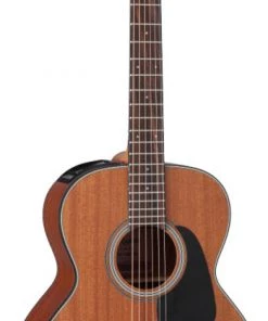 PRO MUSIC Takamine G Mini Series AC/EL "Takamini" Guitar