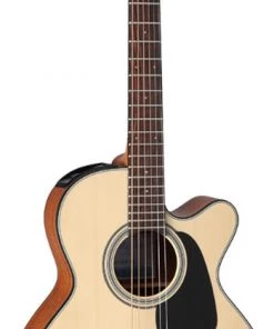 PRO MUSIC Takamine G Mini Series AC/EL "Takamini" Guitar With Cutaway