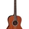 PRO MUSIC Takamine G11 Series New Yorker AC/EL Guitar