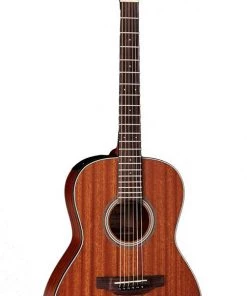 PRO MUSIC Takamine G11 Series New Yorker AC/EL Guitar