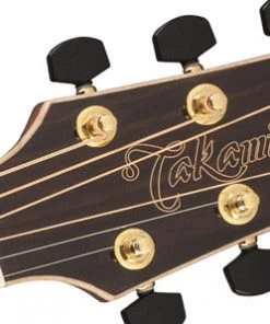 PRO MUSIC Takamine G90 Series New Yorker AC/EL Guitar