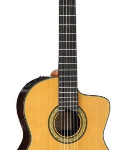 PRO MUSIC Takamine Hirade Pro Series AC/EL Full Size Concert Classical Guitar With Cutaway