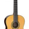 PRO MUSIC Takamine Hirade Pro Series Full Size Concert Classical Guitar
