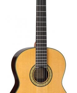 PRO MUSIC Takamine Hirade Pro Series Full Size Concert Classical Guitar