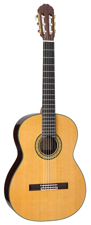 PRO MUSIC Takamine Hirade Pro Series Full Size Concert Classical Guitar 1 PRO MUSIC Takamine Hirade Pro Series Full Size Concert Classical Guitar