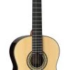 PRO MUSIC Takamine Hirade Pro Series AC/EL Full Size Concert Classical Guitar
