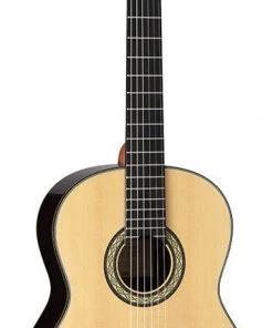 PRO MUSIC Takamine Hirade Pro Series AC/EL Full Size Concert Classical Guitar