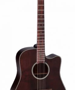 PRO MUSIC Takamine Pro Series 1 Dreadnought AC/EL Guitar With Cutaway