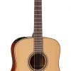PRO MUSIC Takamine Pro Series 3 Dreadnought AC/EL Guitar