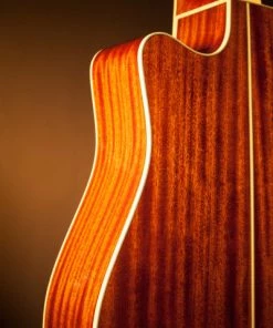 PRO MUSIC Takamine Pro Series 4 Dreadnought AC/EL Guitar With Cutaway