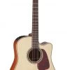 PRO MUSIC Takamine Pro Series 4 Dreadnought AC/EL Guitar With Cutaway