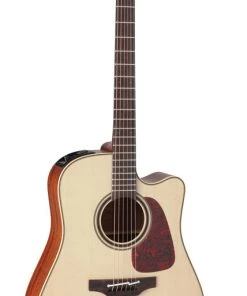 PRO MUSIC Takamine Pro Series 4 Dreadnought AC/EL Guitar With Cutaway