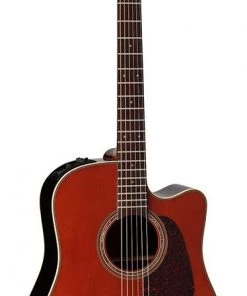 PRO MUSIC Takamine Pro Series 5 Dreadnought AC/EL Guitar With Cutaway
