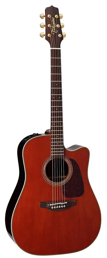 PRO MUSIC Takamine Pro Series 5 Dreadnought AC/EL Guitar With Cutaway 1 PRO MUSIC Takamine Pro Series 5 Dreadnought AC/EL Guitar With Cutaway