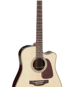 PRO MUSIC Takamine Pro Series 5 Dreadnought AC/EL Guitar With Cutaway