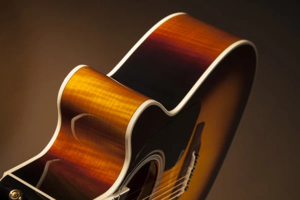 PRO MUSIC Takamine Pro Series 6 NEX AC/EL Guitar With Cutaway 3 PRO MUSIC Takamine Pro Series 6 NEX AC/EL Guitar With Cutaway