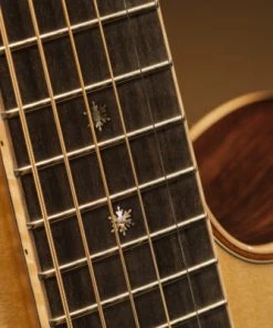 PRO MUSIC Takamine Pro Series 7 NEX AC/EL Guitar With Cutaway