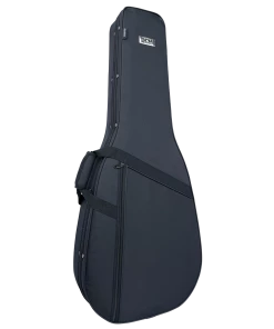 National Tanglewood TSP15CE Sundance Premier Dreadnought C/E W/Case