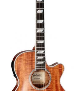 PRO MUSIC Takamine Thinline Series AC/EL Guitar With Cutaway