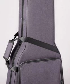 PRO MUSIC Takamine Thinline Series AC/EL Guitar With Cutaway