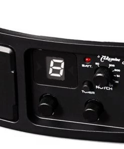 PRO MUSIC Takamine Thinline Series AC/EL Guitar With Cutaway