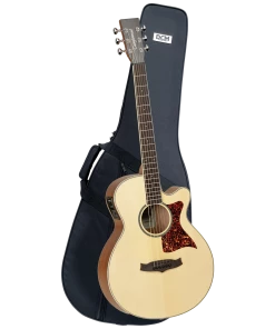 National Tanglewood TSP45 Sundance Premier Super Folk C/E W/Case