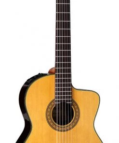 PRO MUSIC Takamine Pro Series AC/EL Full Size Classical Guitar With Cutaway