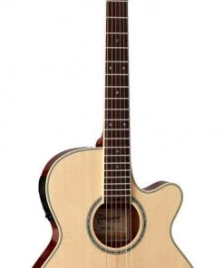 PRO MUSIC Takamine Thinline Series AC/EL Guitar With Cutaway