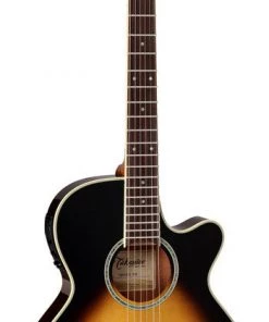 PRO MUSIC Takamine Thinline Series AC/EL Guitar With Cutaway