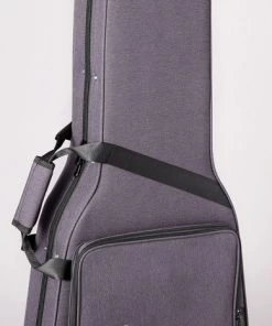 PRO MUSIC Takamine Thinline Series AC/EL Guitar With Cutaway