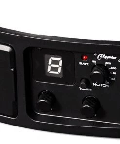 PRO MUSIC Takamine Thinline Series AC/EL Guitar With Cutaway