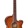 PRO MUSIC Takamine Thinline Series AC/EL Guitar With Cutaway