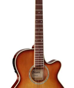 PRO MUSIC Takamine Thinline Series AC/EL Guitar With Cutaway